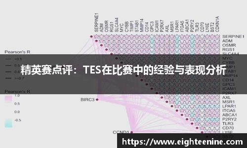 精英赛点评：TES在比赛中的经验与表现分析
